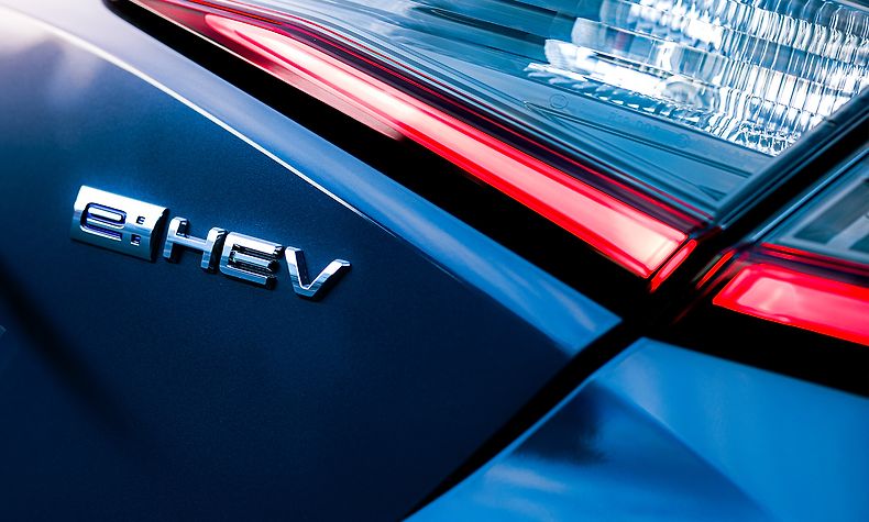 High-performing hybrid