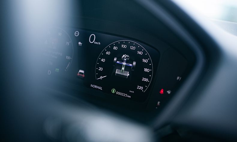 High-performing hybrid