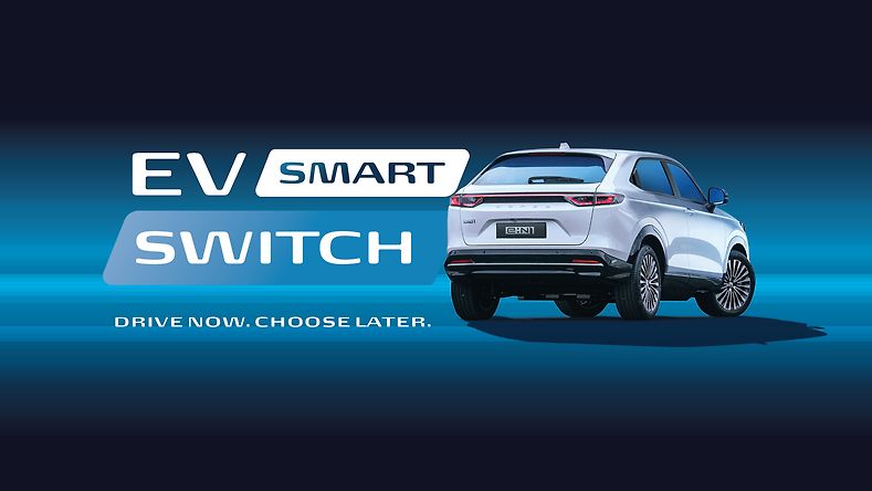 EV SmartSwitch – EV made simple