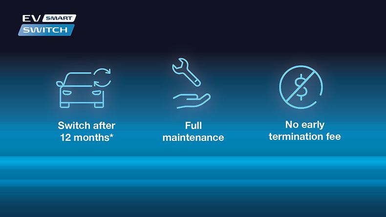 EV SmartSwitch – EV made simple