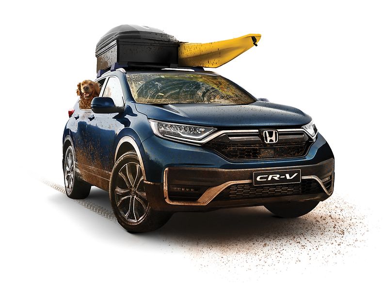 Used car, new adventure