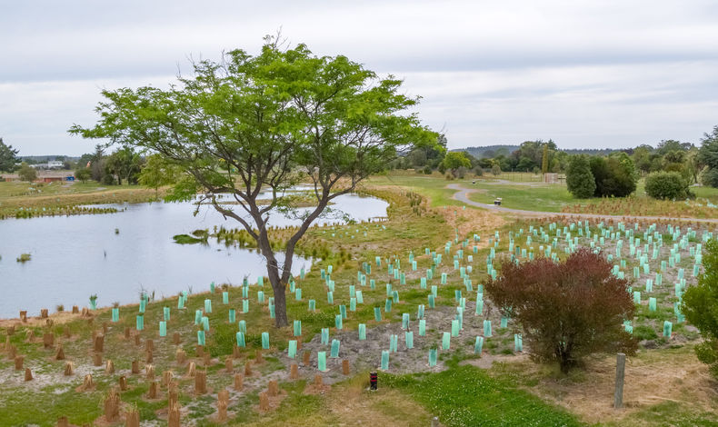 Kaiapoi Regeneration Project - Canterbury Region