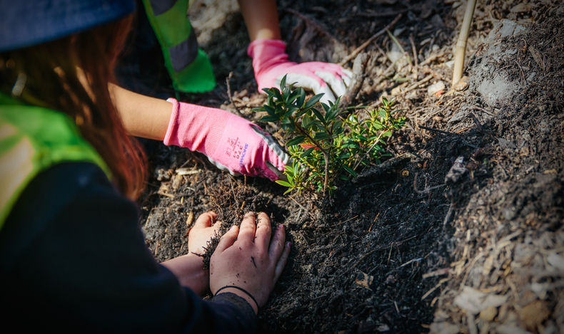 Ridgecliff, Canterbury